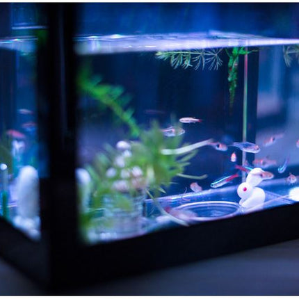 DIY Betta Fish Tank Aquarium Lego Design Block, Add-on USB LED Light & Bottom Stones